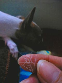 060512-04.jpg