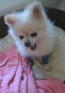 060517-02.jpg