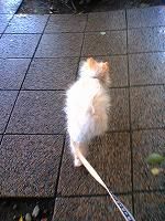 060528-01.jpg