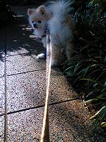 060528-04.jpg