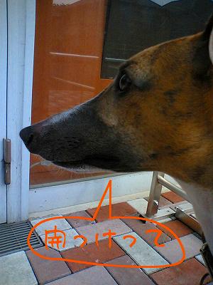060528-01.jpg