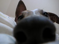 060603- 05.jpg