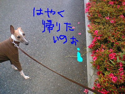060603.jpg