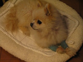 060614-01.jpg