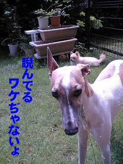 060617 01.jpg
