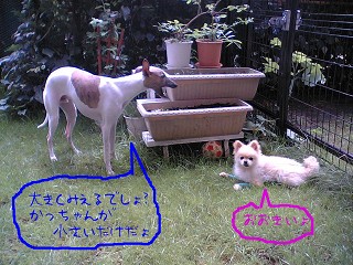 060617 02.jpg