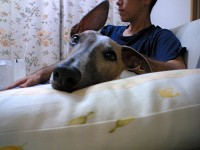 060618 01.jpg