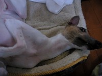 060618 02.jpg