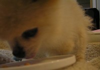 06062109.jpg