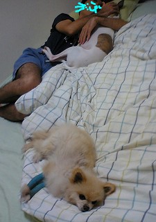 060623.jpg