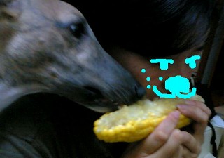 06062401.jpg