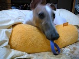 06062701.jpg