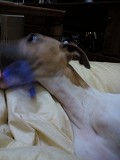06062702.jpg