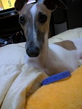 06062703.jpg