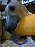 06062704.jpg
