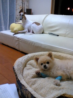 06070404.jpg