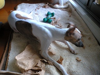06070502.jpg