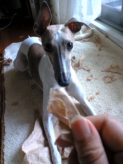 06070503.jpg