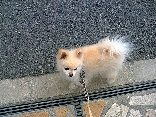 06070704.jpg