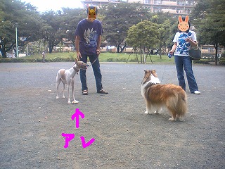 06070804.jpg