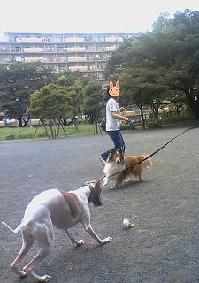 06070806.jpg