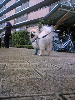 06070809.jpg