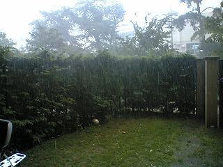 06071501.jpg