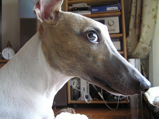 06080506.jpg