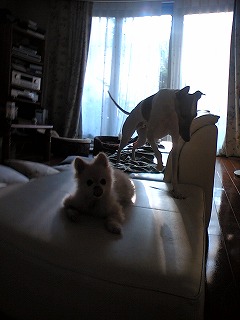 06081402.jpg