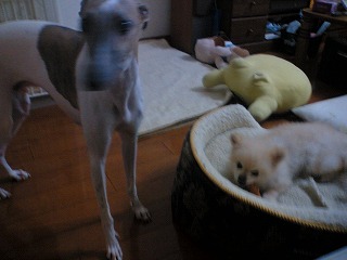 06081602.jpg