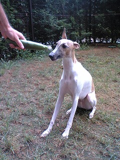 06082202.jpg