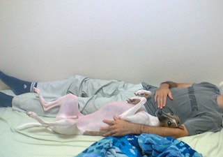 06082401.jpg