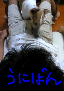 06082702.jpg