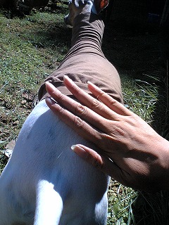06100902.jpg