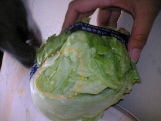 06101001.jpg