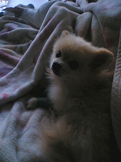 06110503.jpg