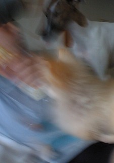 06110905.jpg