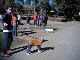 06111203.jpg