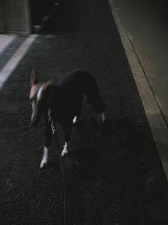 06111301.jpg