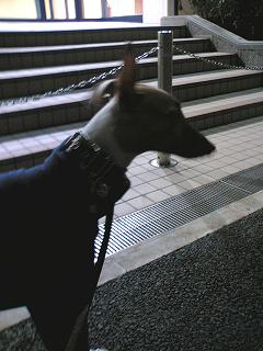 06111303.jpg