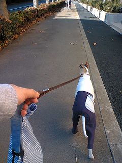 06112503.jpg