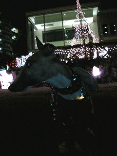 06120102.jpg