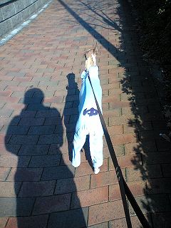 06120204.jpg
