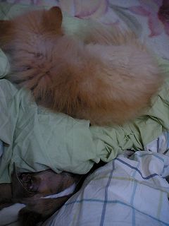 06120301.jpg