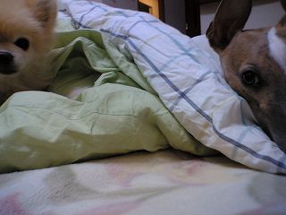 06120302.jpg