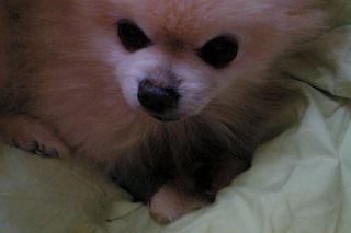 06120404.jpg