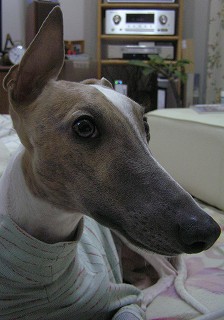 06121203.jpg