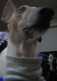 06121204.jpg