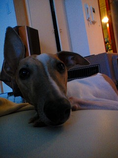 06122306.jpg