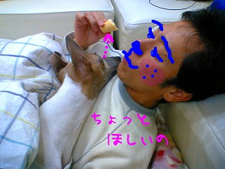 07011101.jpg